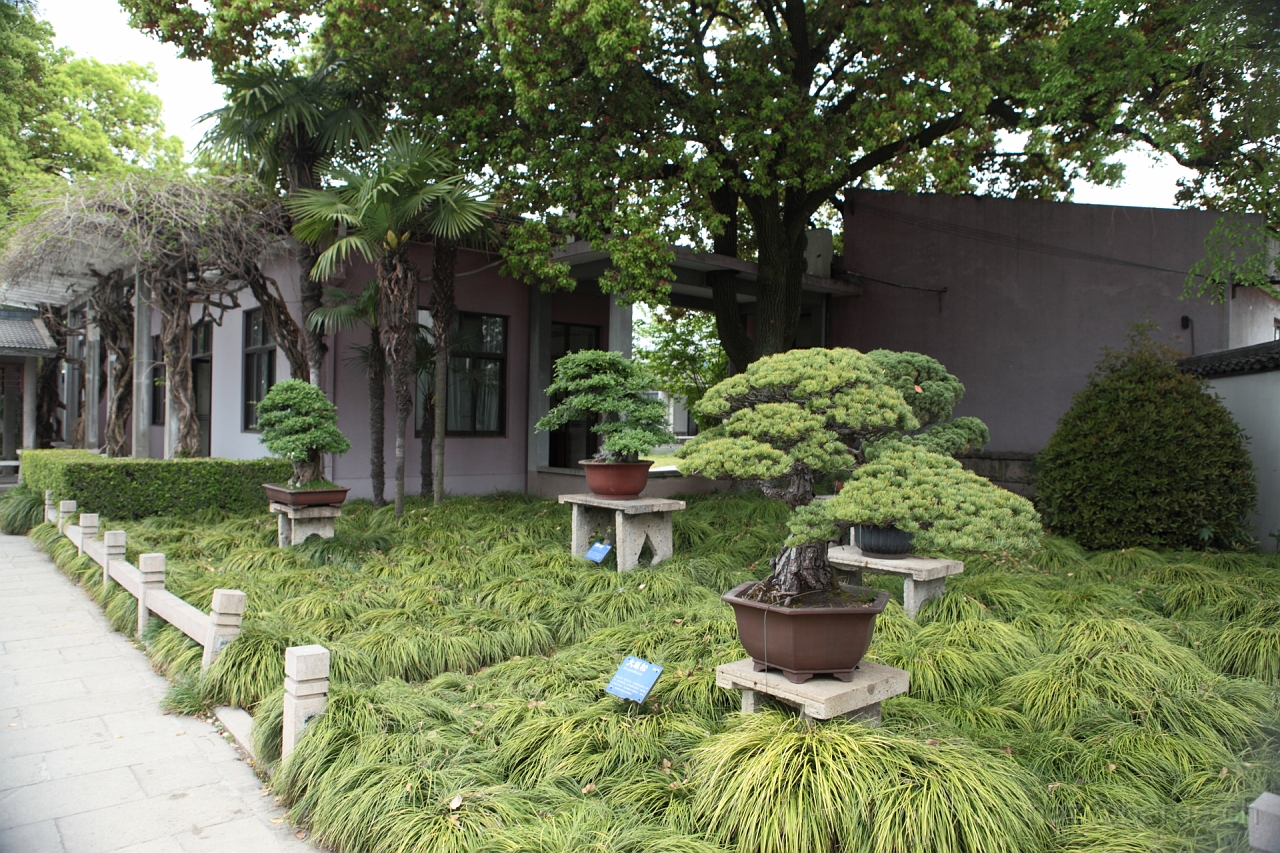 EOS 5D Mark II16_04_20135043.JPG